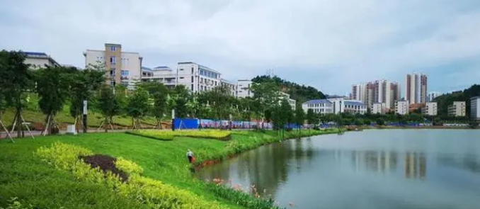 腿腿教学网-BIM技术在桥梁中的应用广泛吗？