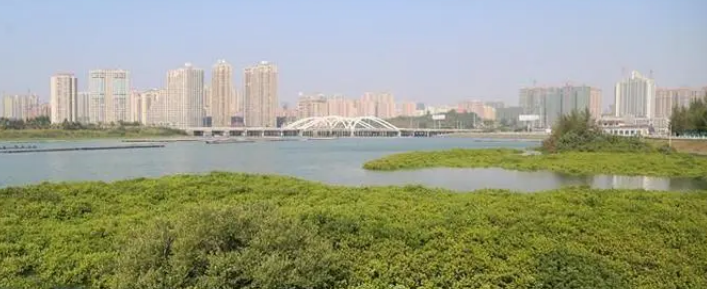 腿腿教学网-BIM技术的可视化能够分为几个层次？