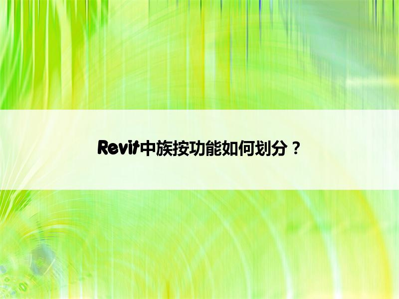 BIM,Revit中文网-Revit中族按功能如何划分？