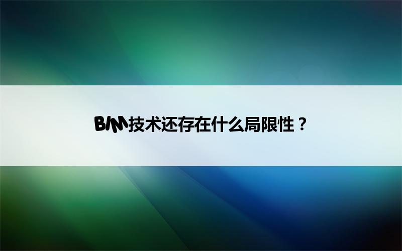 BIM,Revit中文网-BIM技术还存在什么局限性？