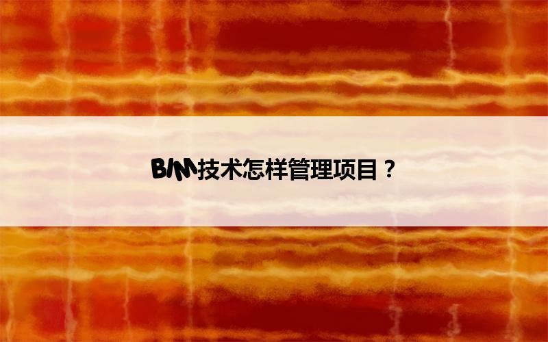 BIM,Revit中文网-BIM技术怎样管理项目？