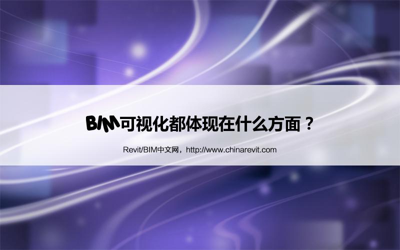 BIM,Revit中文网-BIM可视化都体现在什么方面？