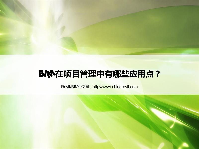 BIM,Revit中文网-BIM在项目管理中有哪些应用点？