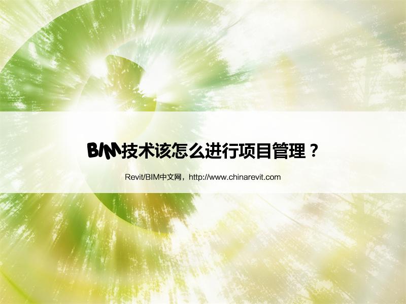 BIM,Revit中文网-BIM技术该怎么进行项目管理？