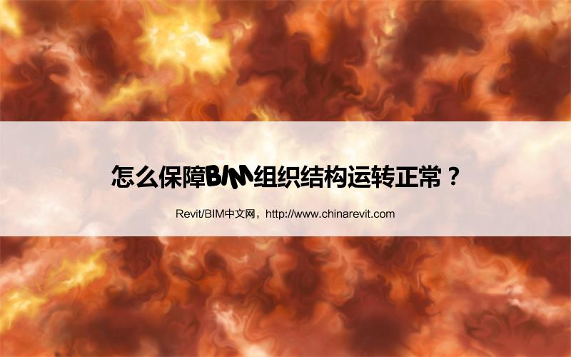 BIM,Revit中文网-怎么保障BIM组织结构运转正常？