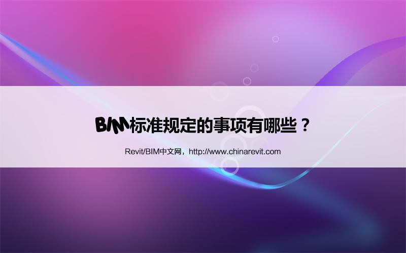 BIM,Revit中文网-BIM标准规定的事项有哪些？