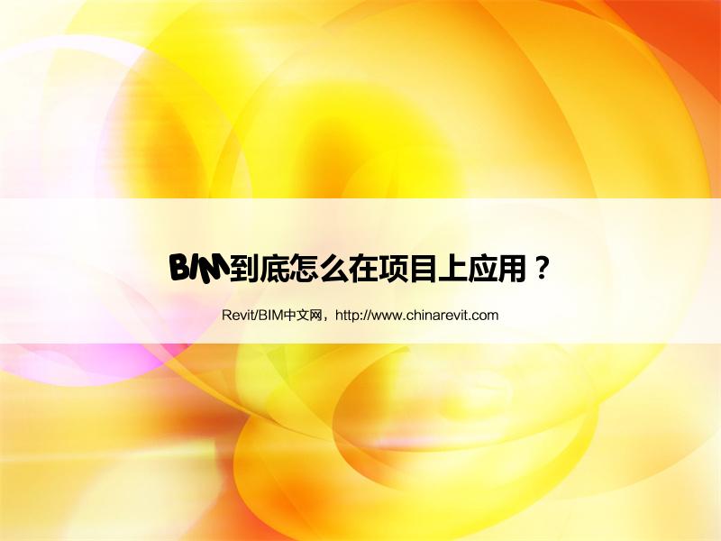 BIM,Revit中文网-BIM到底怎么在项目上应用？