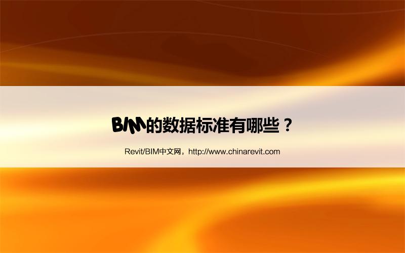 BIM,Revit中文网-BIM的数据标准有哪些？