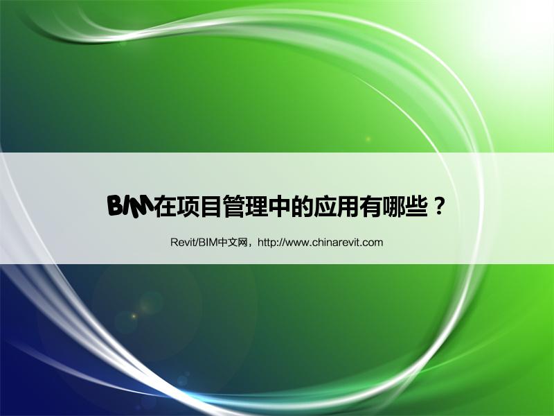 BIM,Revit中文网-BIM在项目管理中的应用有哪些？