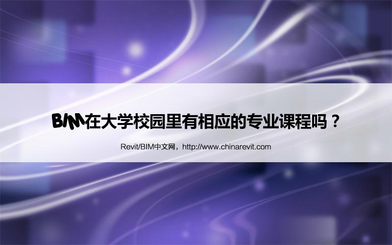 BIM,Revit中文网-BIM在大学校园里有相应的专业课程吗？