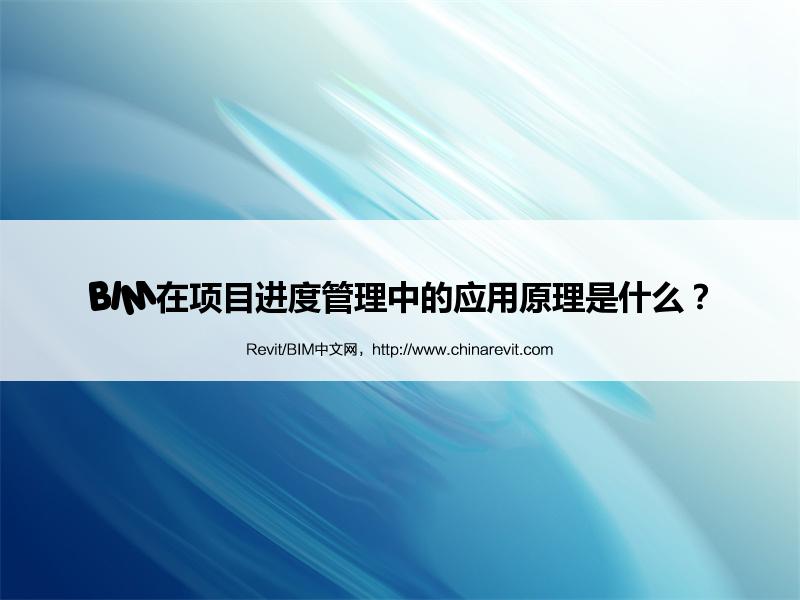 BIM,Revit中文网-BIM在项目进度管理中的应用原理是什么？