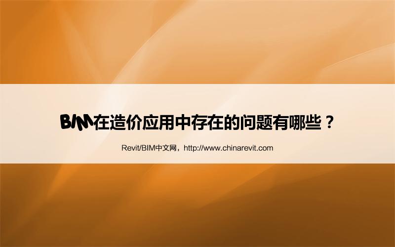 BIM,Revit中文网-BIM在造价应用中存在的问题有哪些？