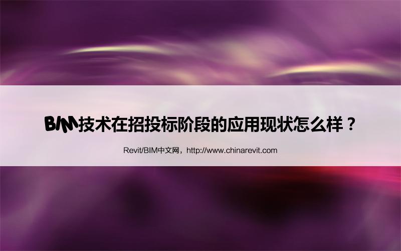 BIM,Revit中文网-BIM技术在招投标阶段的应用现状怎么样？