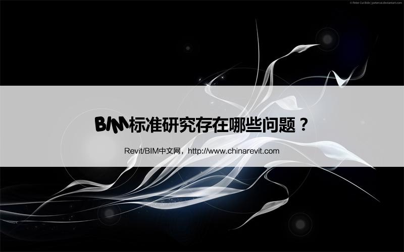 BIM,Revit中文网-BIM标准研究存在哪些问题？
