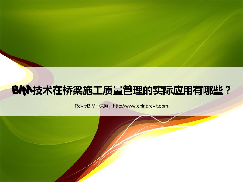 BIM,Revit中文网-BIM技术在桥梁施工质量管理的实际应用有哪些？