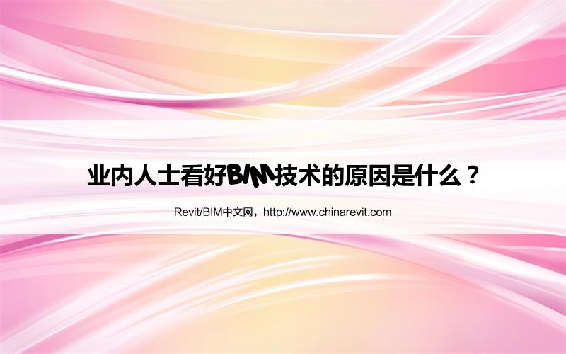 BIM,Revit中文网-业内人士看好BIM技术的原因是什么？