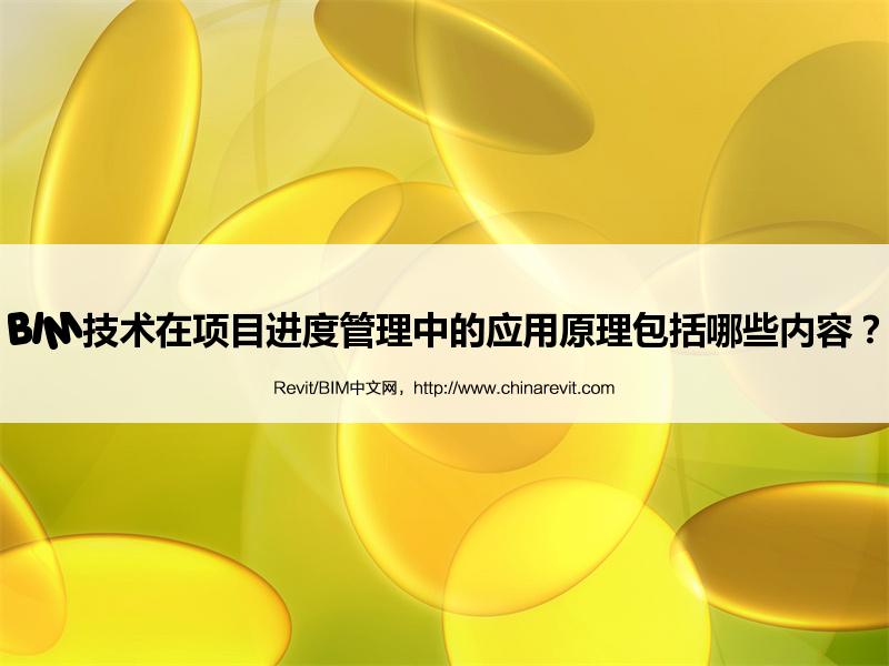 BIM,Revit中文网-BIM技术在项目进度管理中的应用原理包括哪些内容？