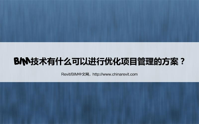 BIM,Revit中文网-BIM技术有什么可以进行优化项目管理的方案？