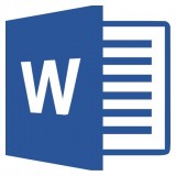 Word编辑大师 v1.3