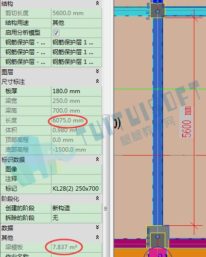 项目中的梁族模板面积.jpg