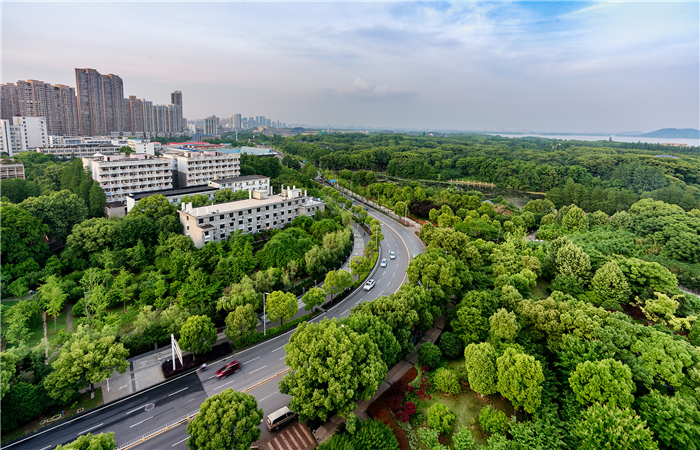 腿腿教学网-BIM如何用于道路交通？BIM在道路交通建设中能够实现哪些效果？