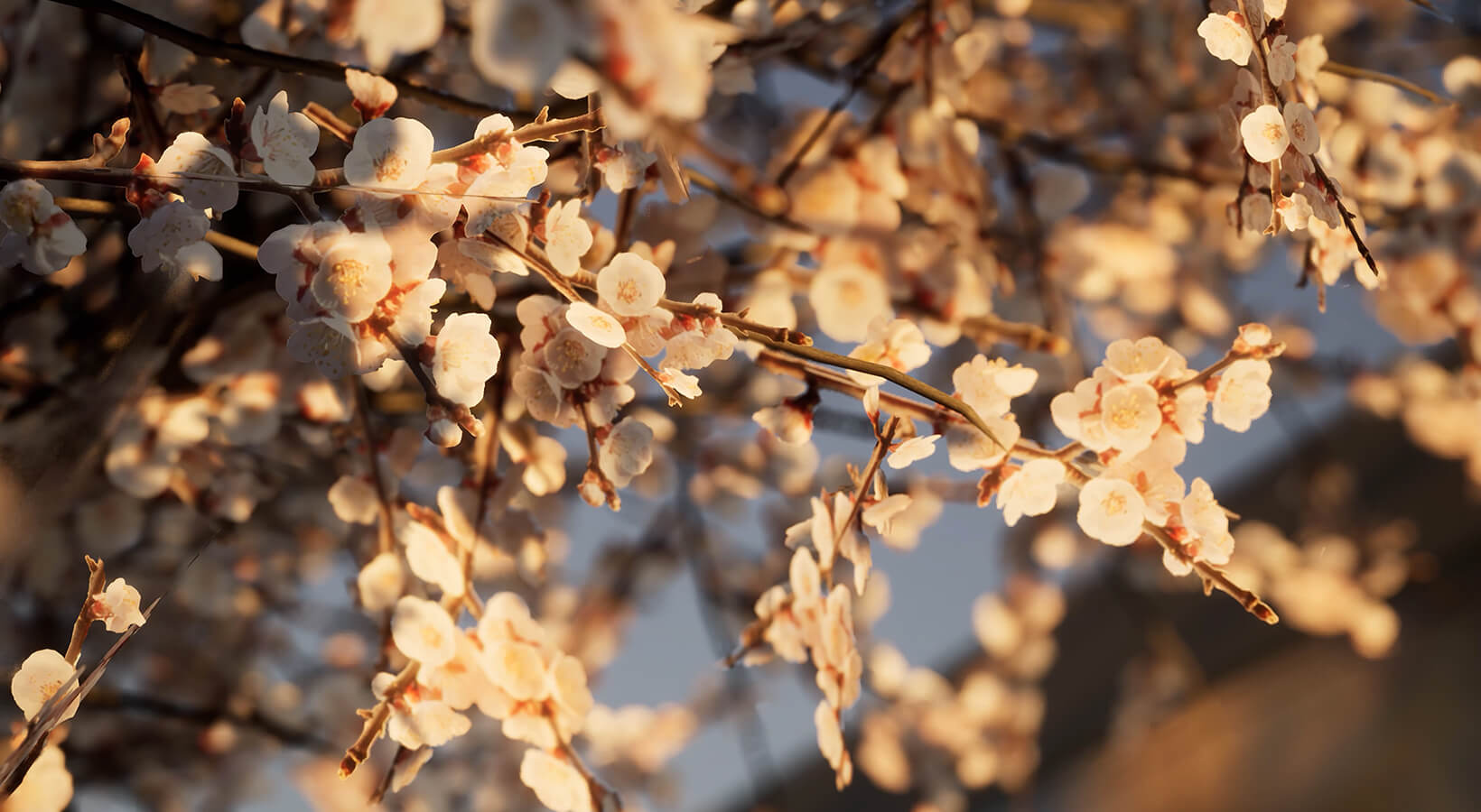 Unreal Engine%2Fblog%2Ftwinmotion-2020-1-delivers-new-levels-of-realism-and-much-more%2FNews_Twinmotion2020_Blog_Body_Image_2-1640x900-0fbc72d8b4ffe6e81dab9ff3128022499b2ca12c.jpg 腿腿教学网-Twinmotion 2020震撼发布!免费使用更逼真的Twinmotion 2020!