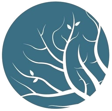 Lumion渲染,lumion 腿腿教学网-Lumion如何渲染调整参数?这些lumion操作令人惊艳!