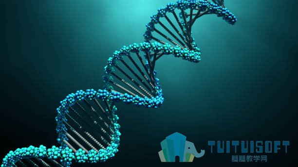 DNA.jpg DNA.jpg
