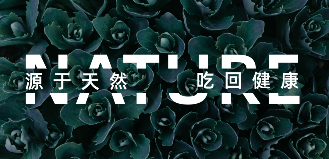 PPT填充让您的视觉更有冲击感！
