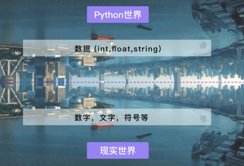 腿腿教学网-Dynamo技术分享：利用Dynamo进行数据分析