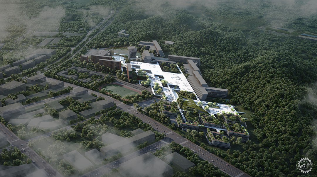 中国科学院深圳理工大学第17张图片