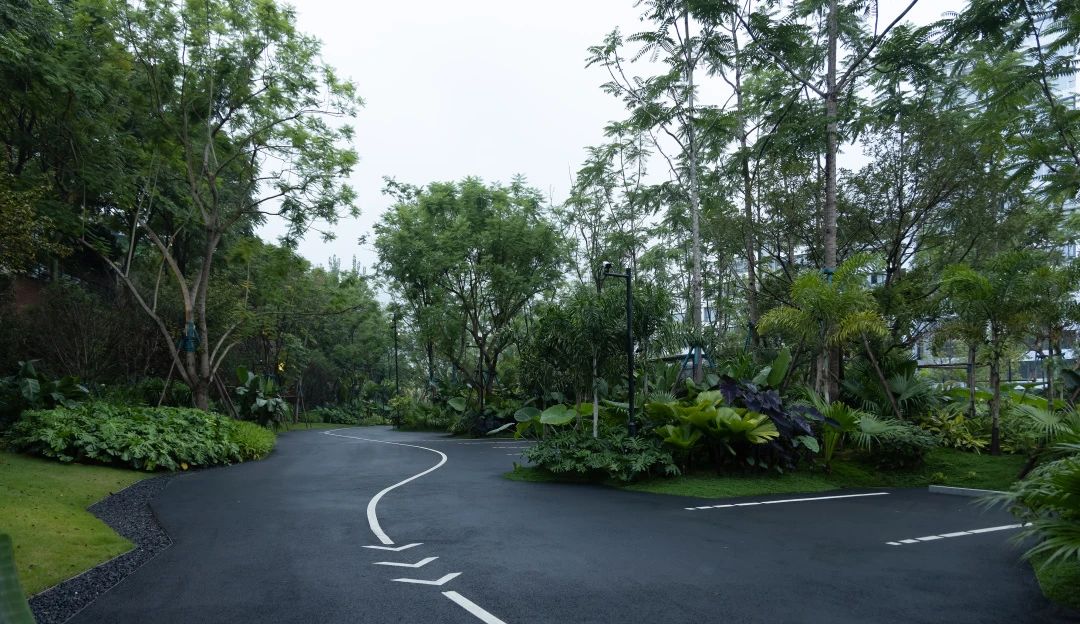 ONE PARK | G11第22张图片