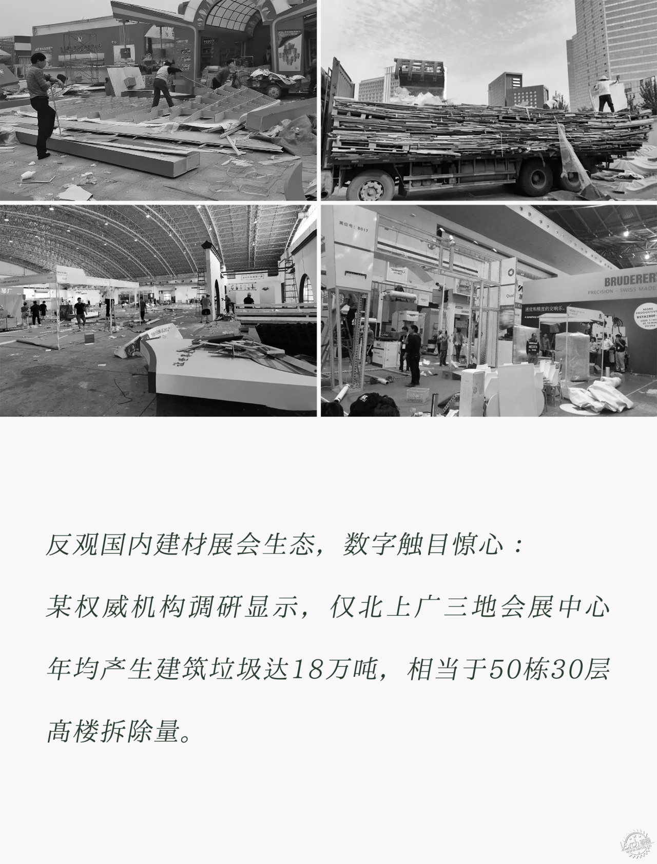 共生作品 | 消失的森林第10张图片