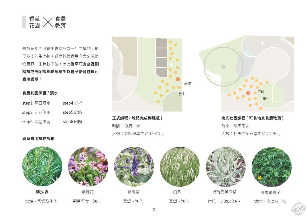 小小鸡舍，大大改变，成为孩子们的自然课堂第28张图片
