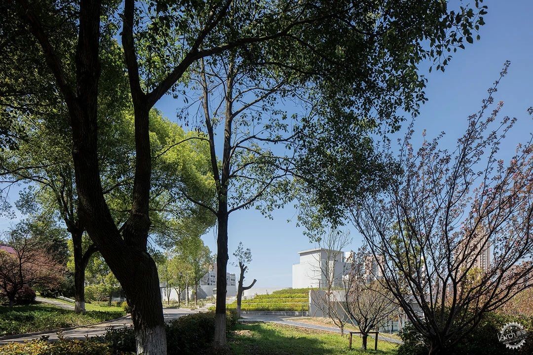 长沙市南雅中学图书馆 / 中机国际罗劲工作室第4张图片