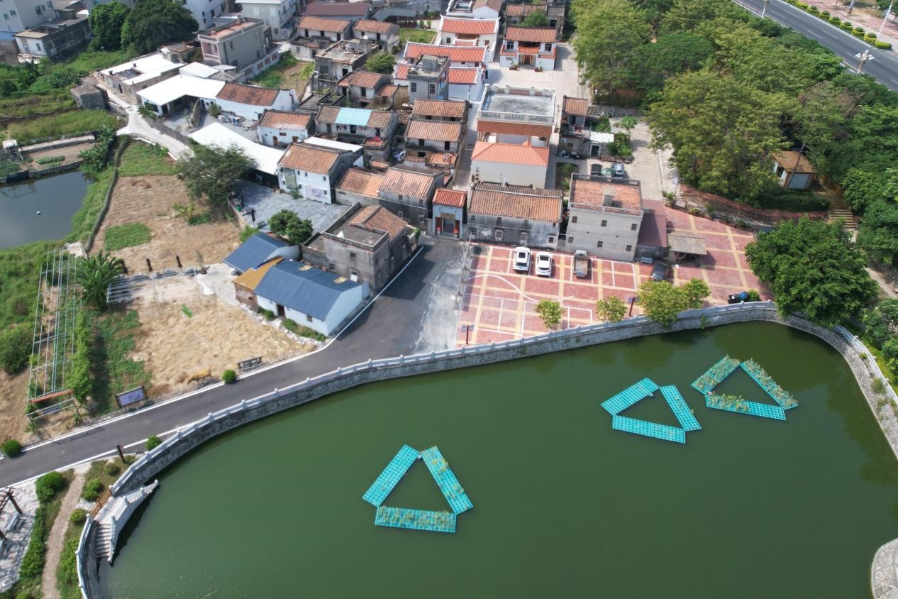 东山县 | 南埔筑巢引蝶凤,闽台融合走新路 东山县 | 南埔筑巢引蝶凤,闽台融合走新路
