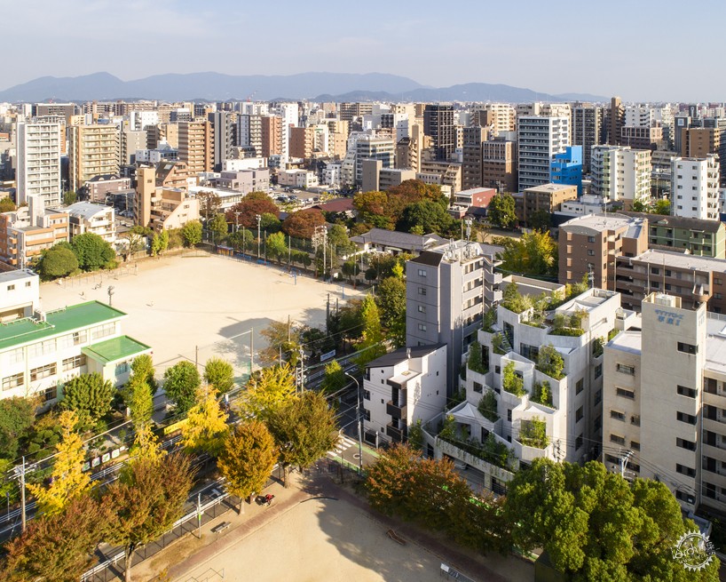 住在“小山丘”上是什么感觉？NOT A HOTEL FUKUOKA带你体验！第2张图片