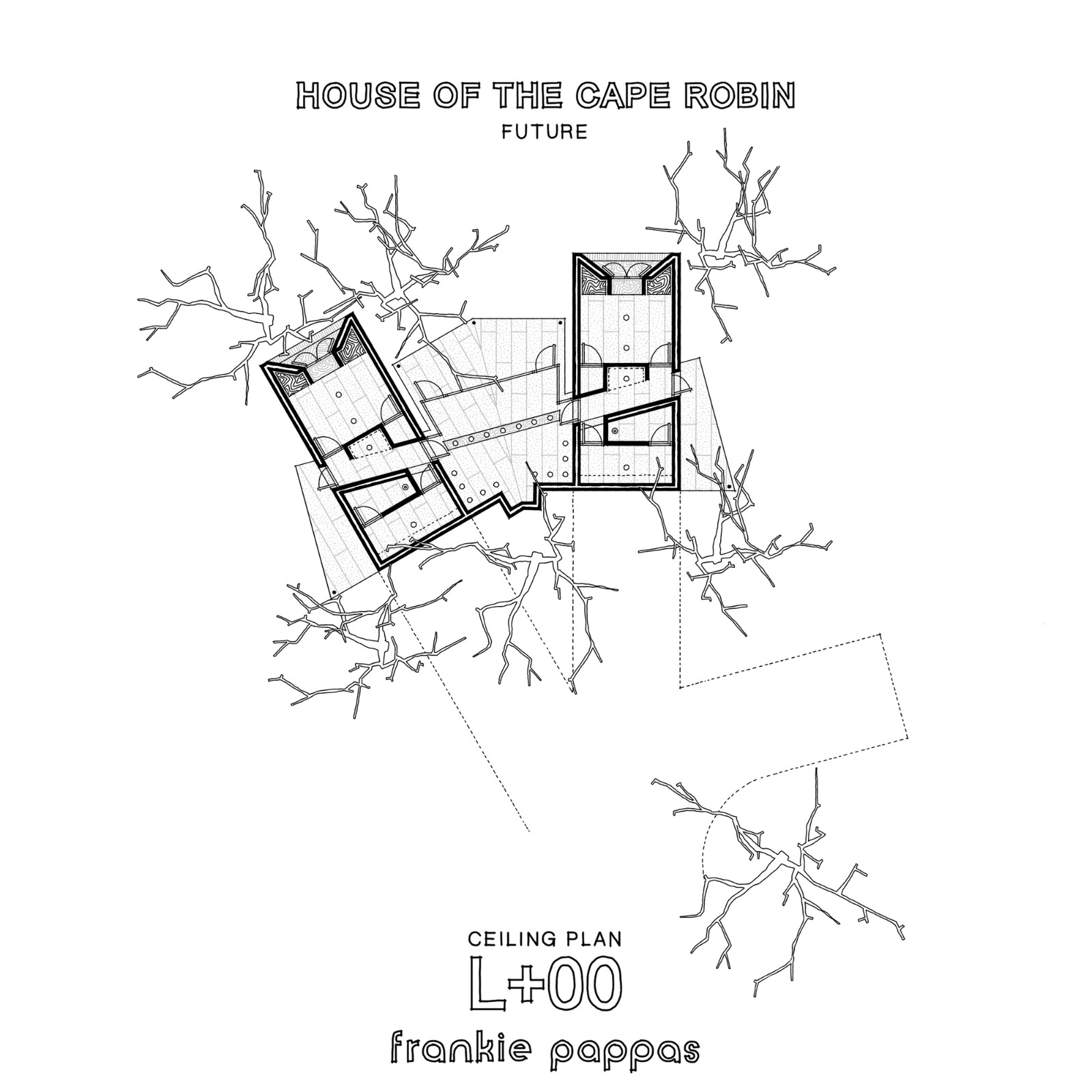 1735444967754718.jpg