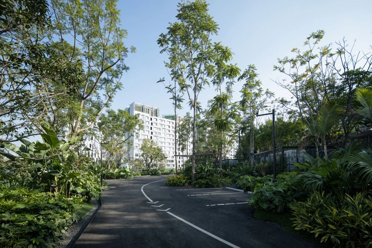ONE PARK | G11第7张图片
