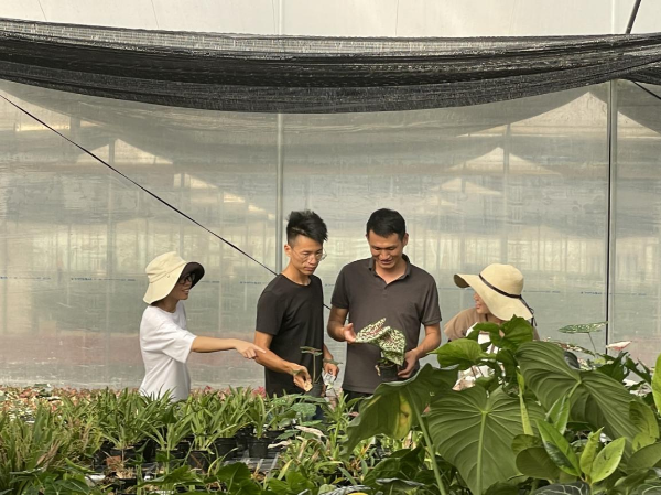 花卉人才指导种植技术.png