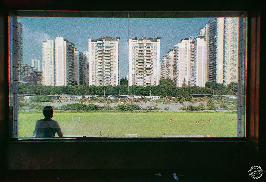 洋河体育场：一处没有观众，却鲜花盛开的遗忘之地第39张图片