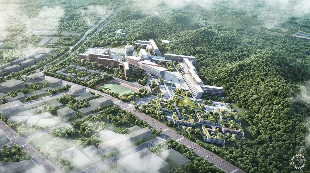 中国科学院深圳理工大学第7张图片