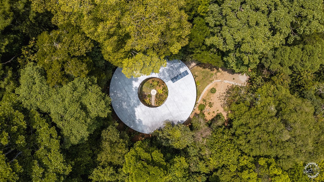 极限挑战下的奇迹，架空树顶屋的建造冒险第22张图片