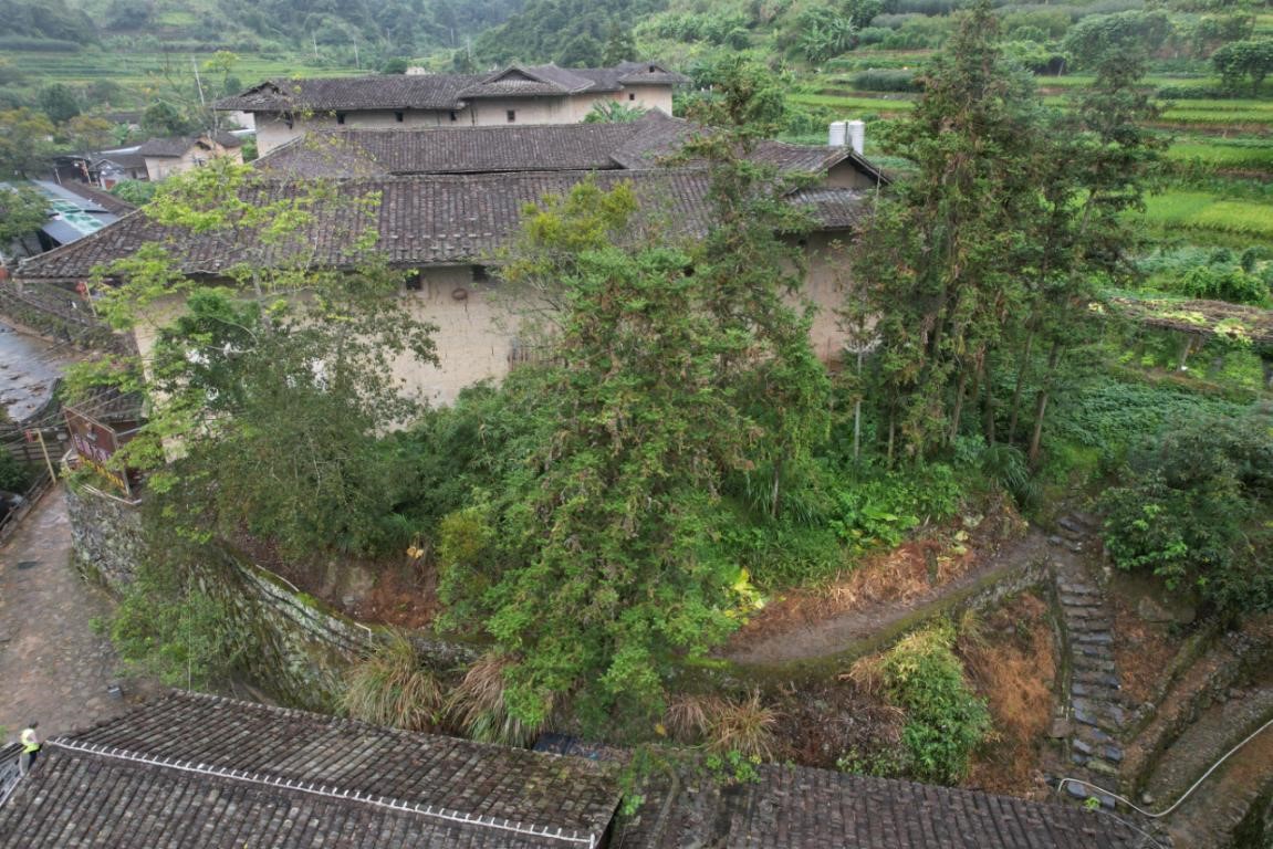 回归村落 记住乡愁 | 书洋镇下版寮村 回归村落 记住乡愁 | 书洋镇下版寮村
