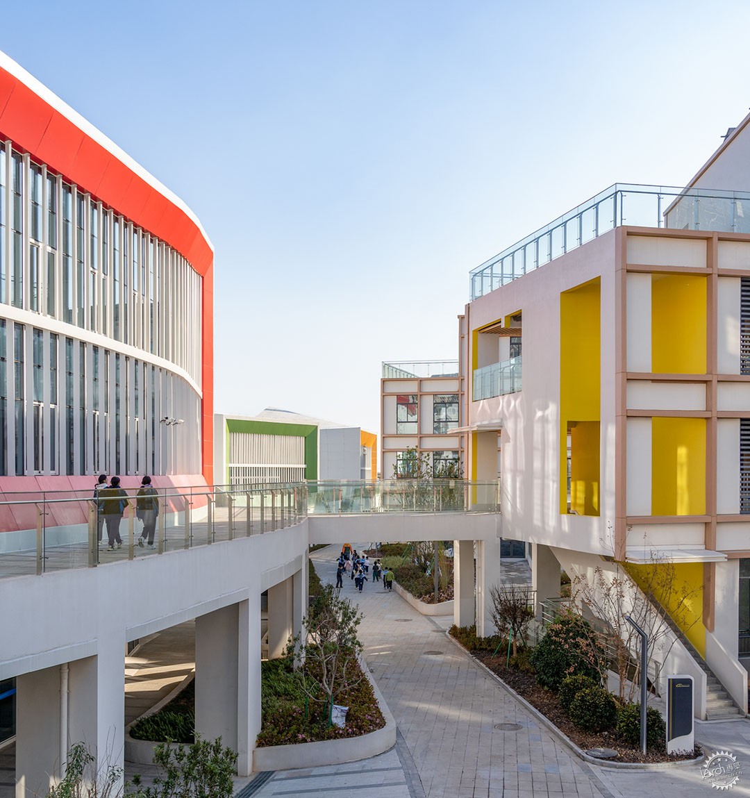 在校园的街道邂逅，衢州第六实验学校第9张图片