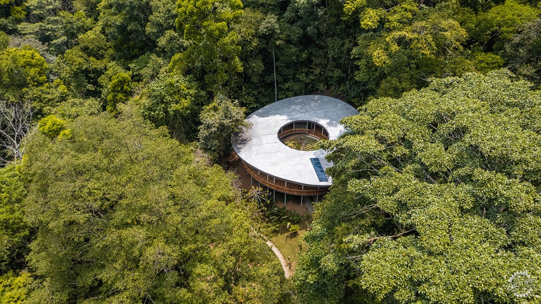 极限挑战下的奇迹，架空树顶屋的建造冒险第1张图片