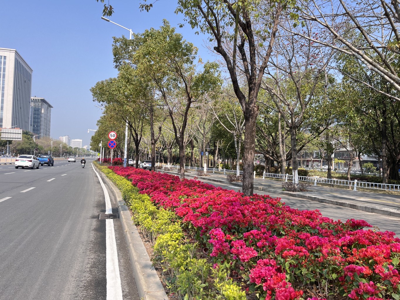 龙海区 | 升级绿化焕新颜 绘就城市园林新画卷 龙海区 | 升级绿化焕新颜 绘就城市园林新画卷