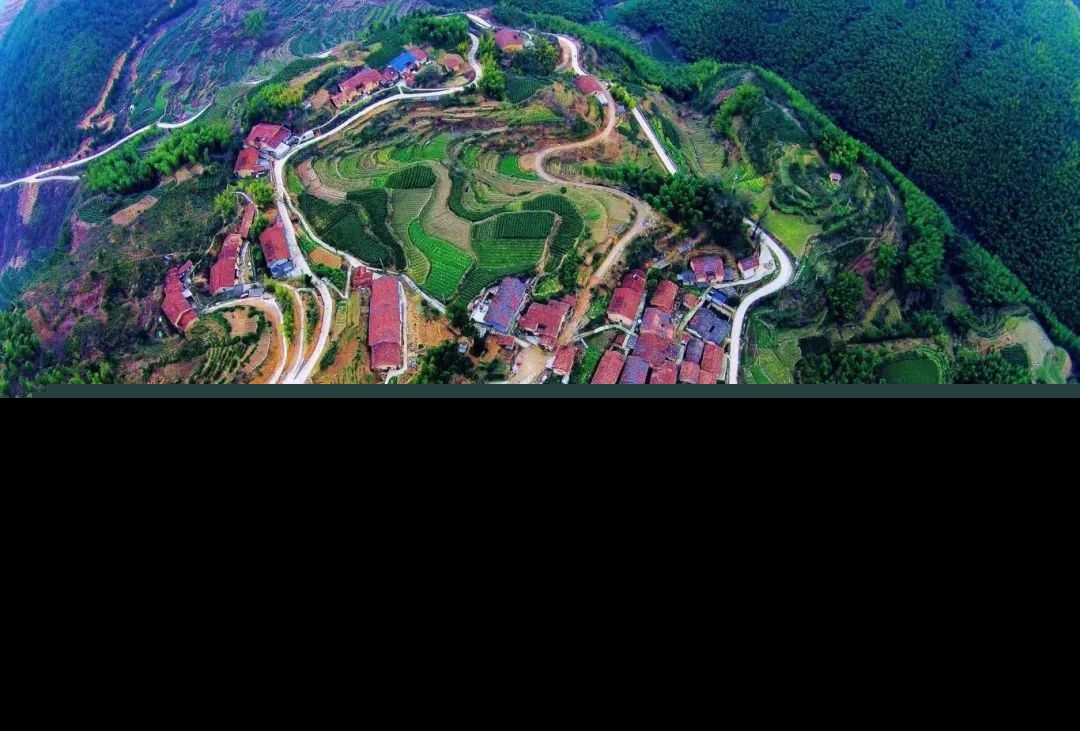 车前村.jpg