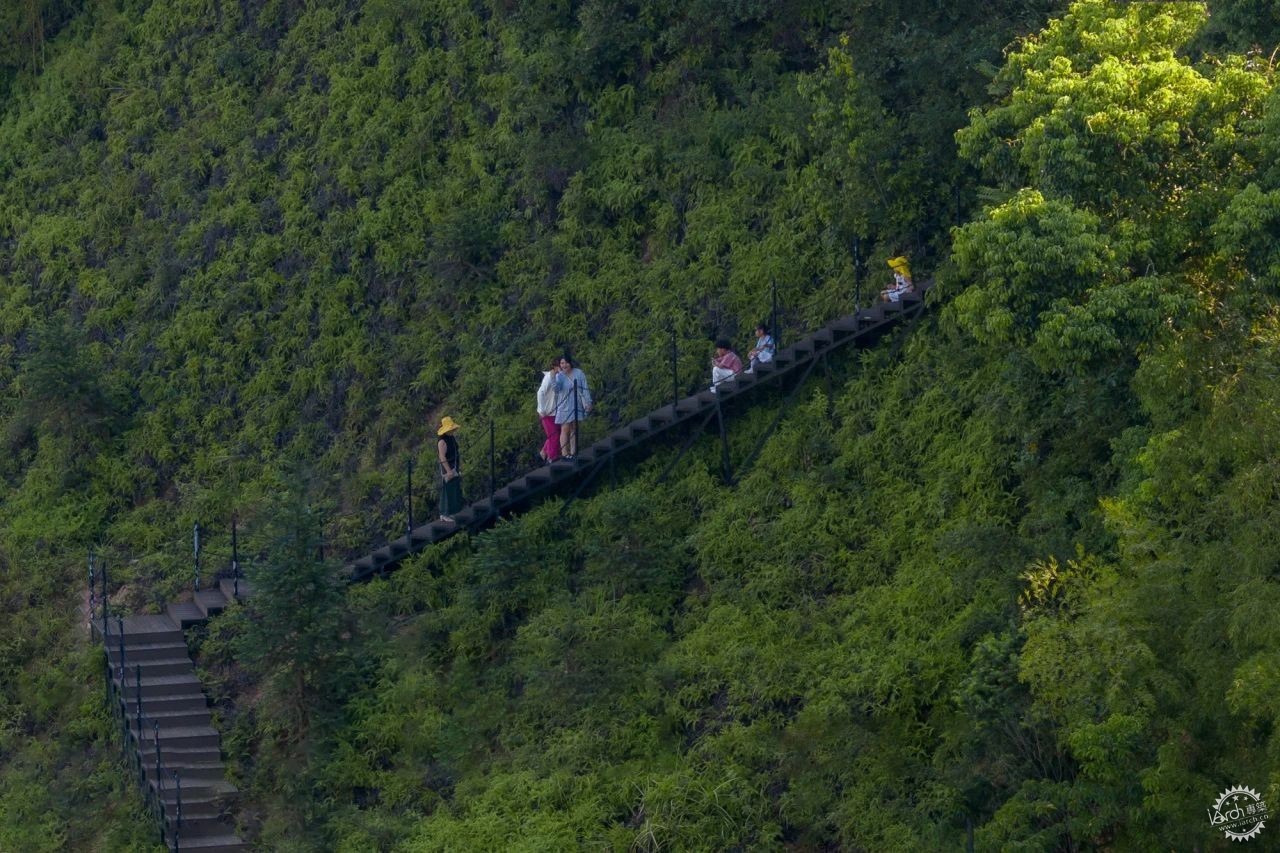 傍山麓野 | 长沙麓隐青竹湖第32张图片
