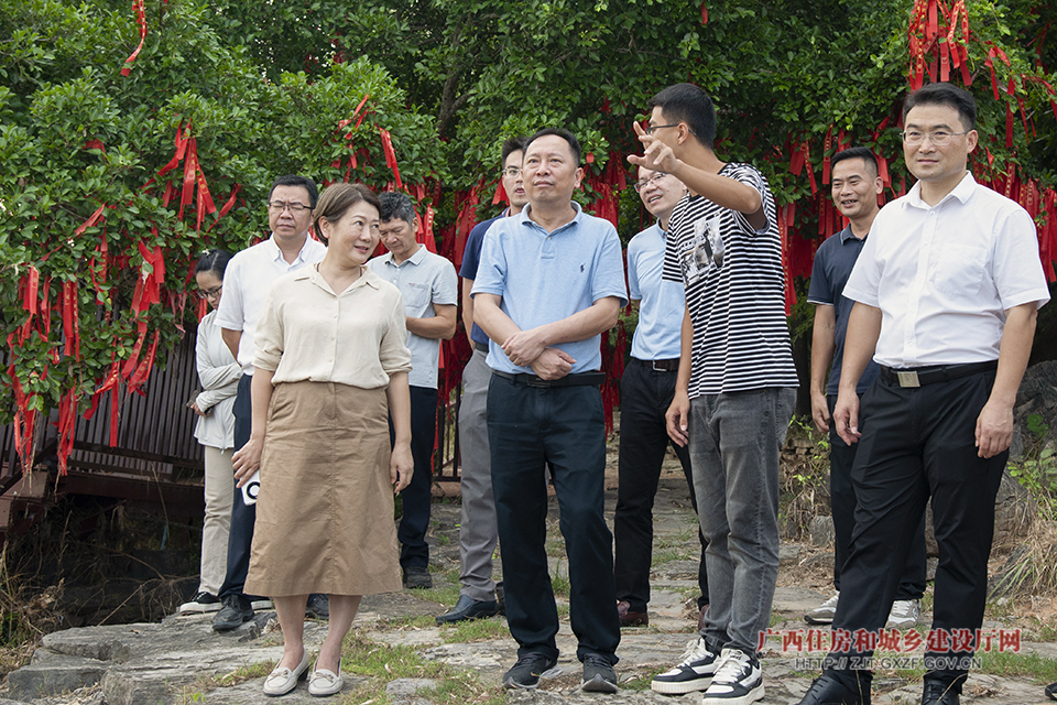 _YLY5355杨栋副厅长调研左江斜塔已修厅网图.jpg